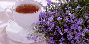 Gripten koruyan 4 bitki çayı
