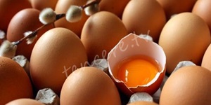 Yumurta kabuğunun faydaları